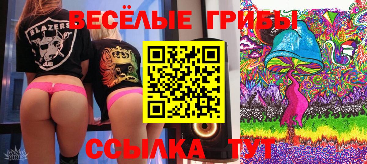 Галлюциногенные грибы MAGIC MUSHROOMS  Вход с VPN  Богородск  Псилоцибиновые грибы Cubensis 